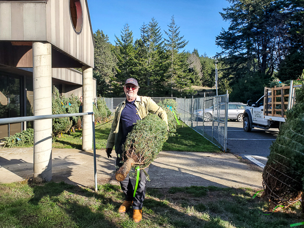 Unloading Christmas Trees