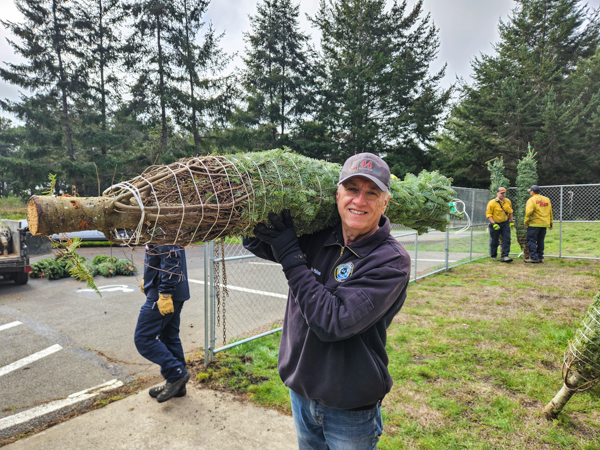 unloading xmas trees