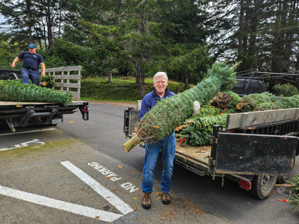 unloading xmas trees