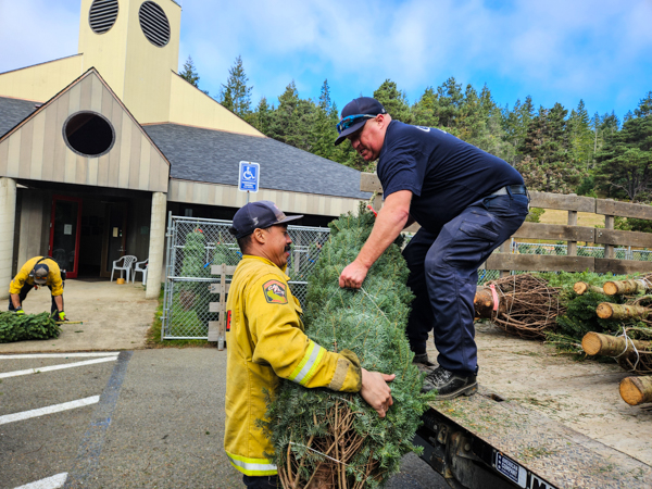 unloading xmas trees