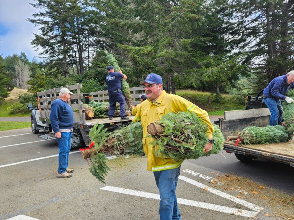 unloading xmas trees