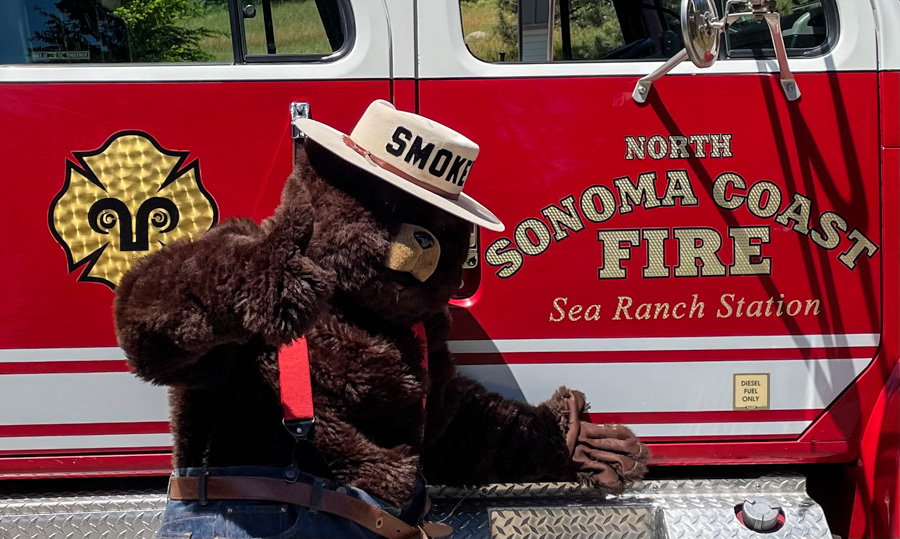Image of Smokey Bear with NSC Logo