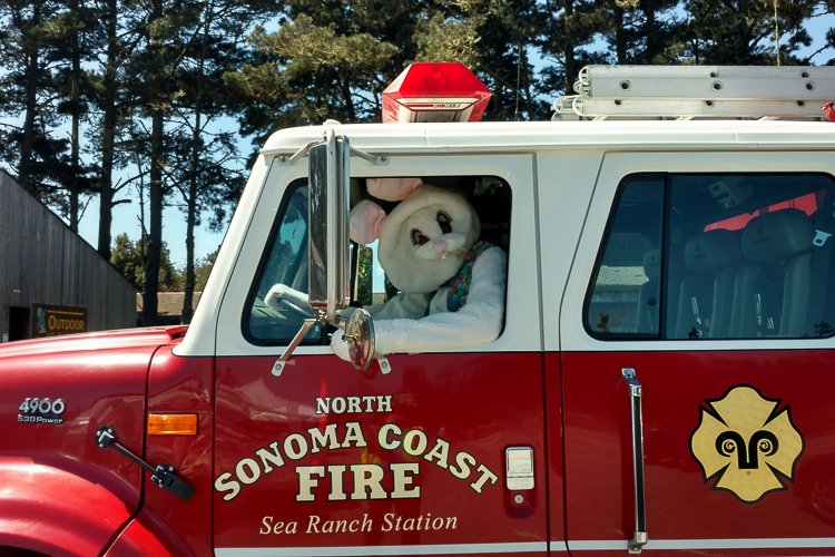 Random image related to fire department