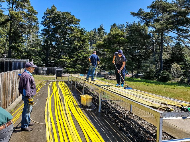 Random image related to fire department